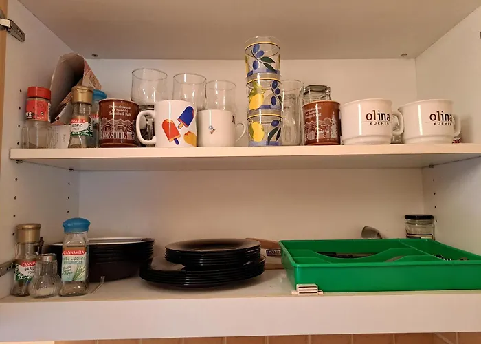 Pinter * ザラカロシュ